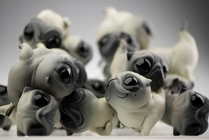 Pugs