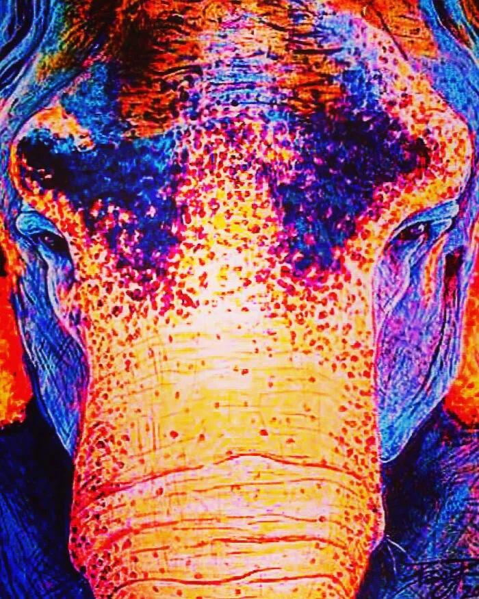 Reba The Asian Elephant
