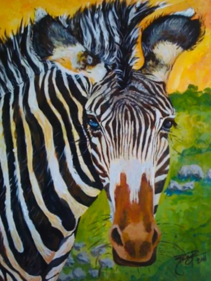 Masika The Zebra