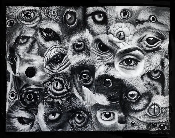 Not Just 1, But 31!!! Can You Guess Them All?