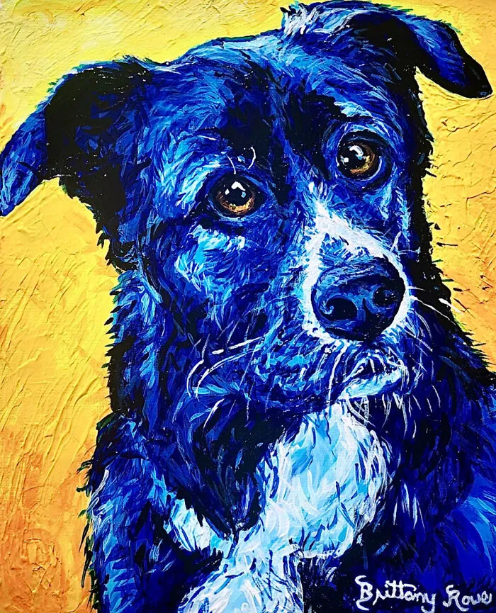 Stella Blue