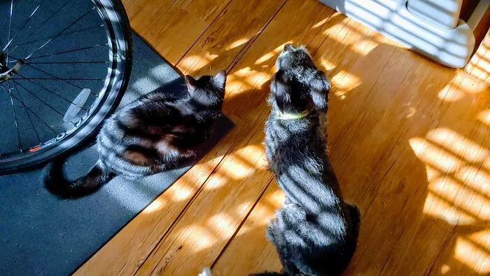 Found The Sun Rays