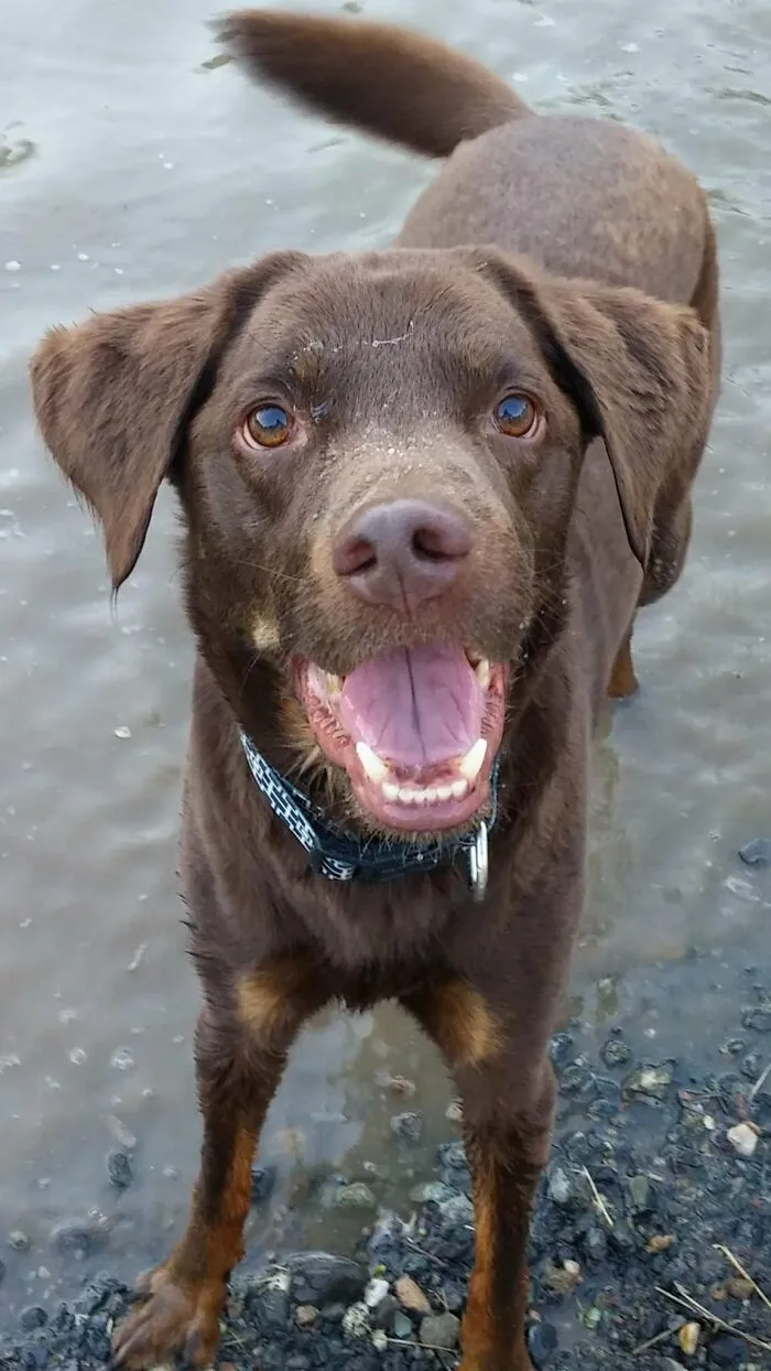 Lord Byron Enjoying The Flooded Streets!