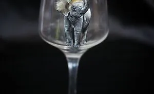 For My Son's Amusement, I Started Painting Him Realistic Animals And Discovered That Glass Was A Perfect Surface For That (21 Pics)