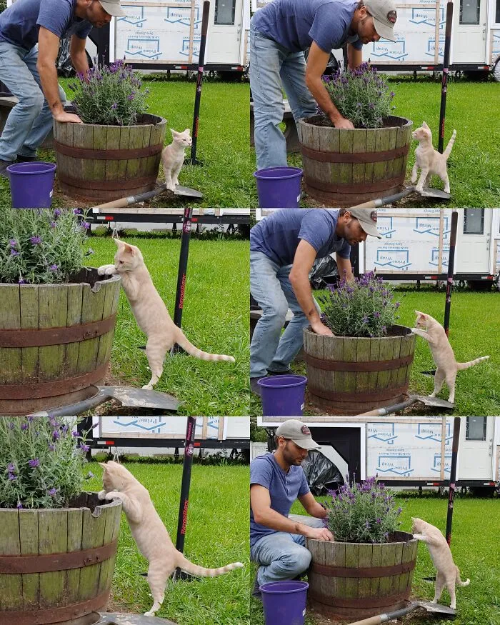 Helping With Some Spring Gardening