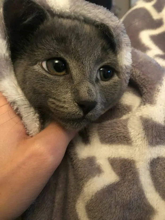 My Little Angel!