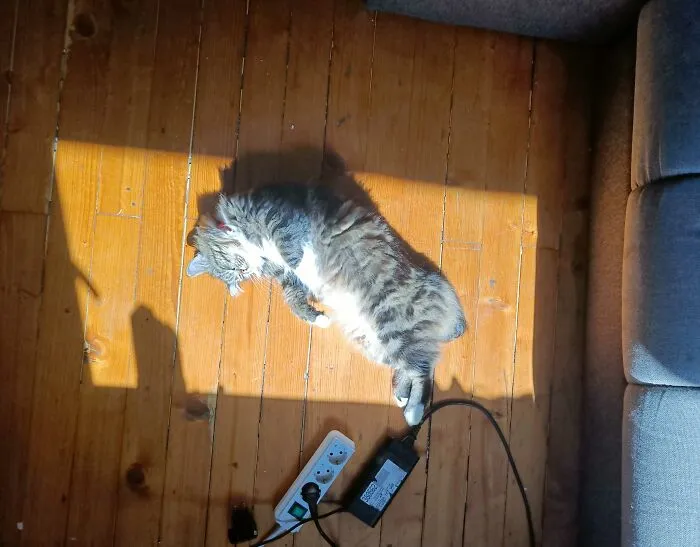 Soaking Up The Sun