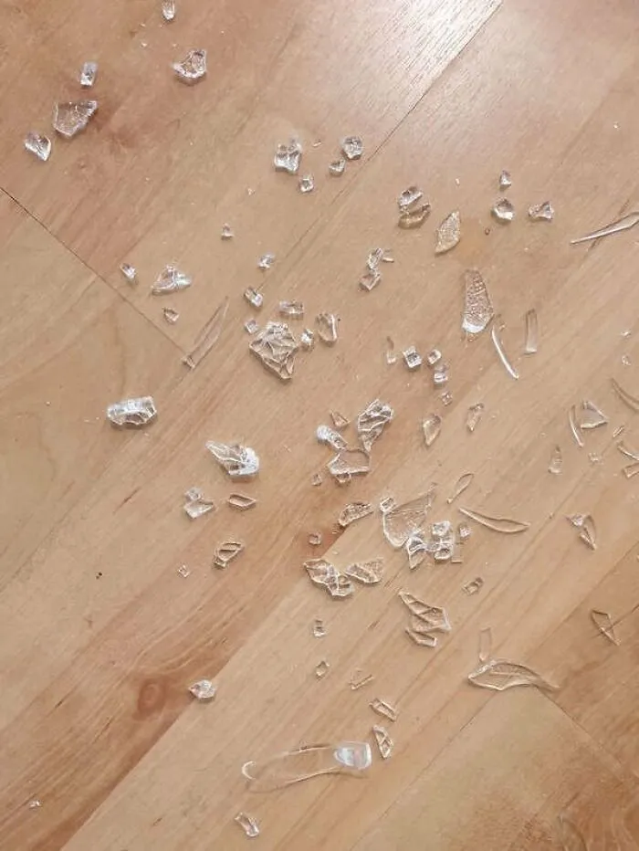 Let's Just Say I'm Not The One Who Broke This