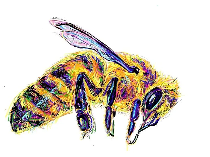 Honeybee