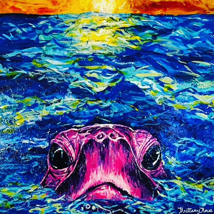 Bob The Loggerhead Turtle