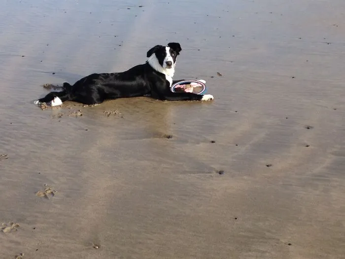 Shilo Cooling-Off By The Sea