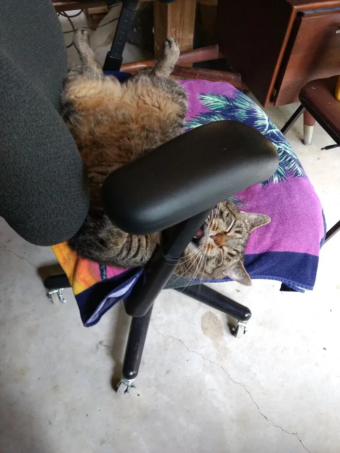 Mondays...