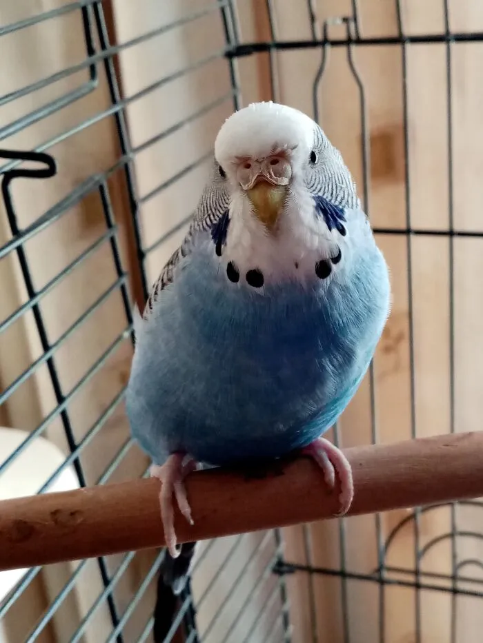 Precious!