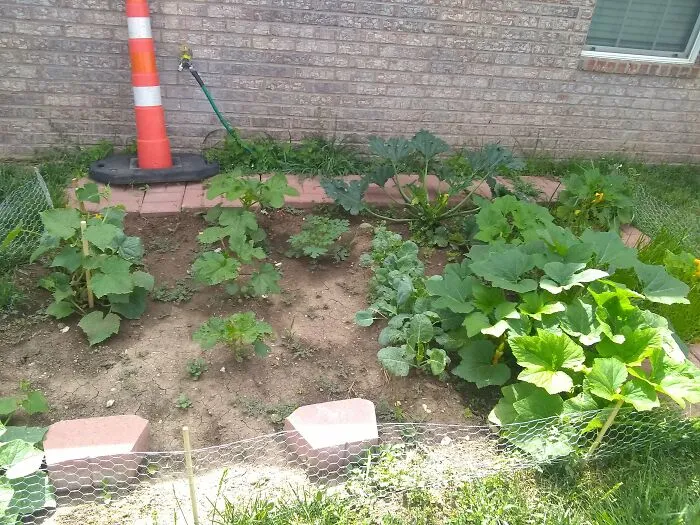 First Garden