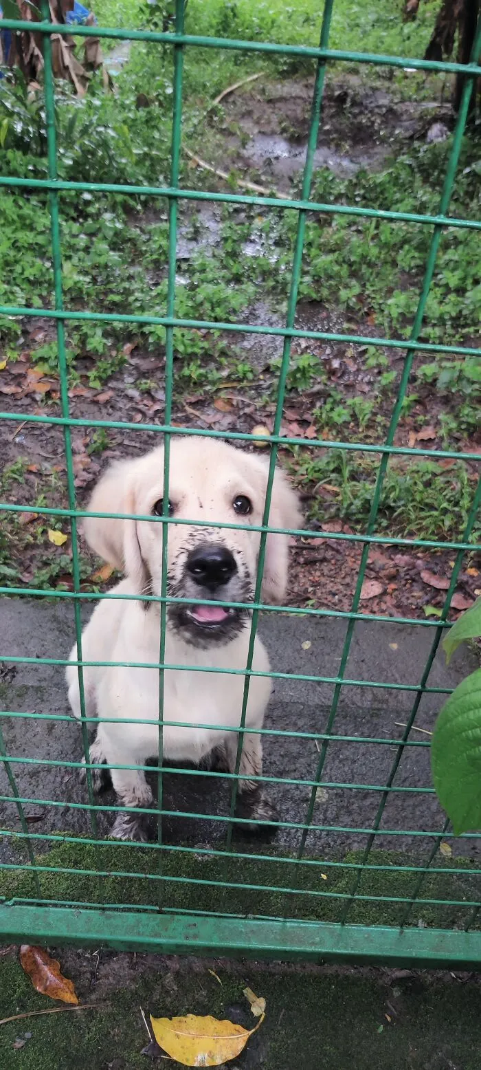 I Gave Him A Bath And 5 Minutes Afterwards.