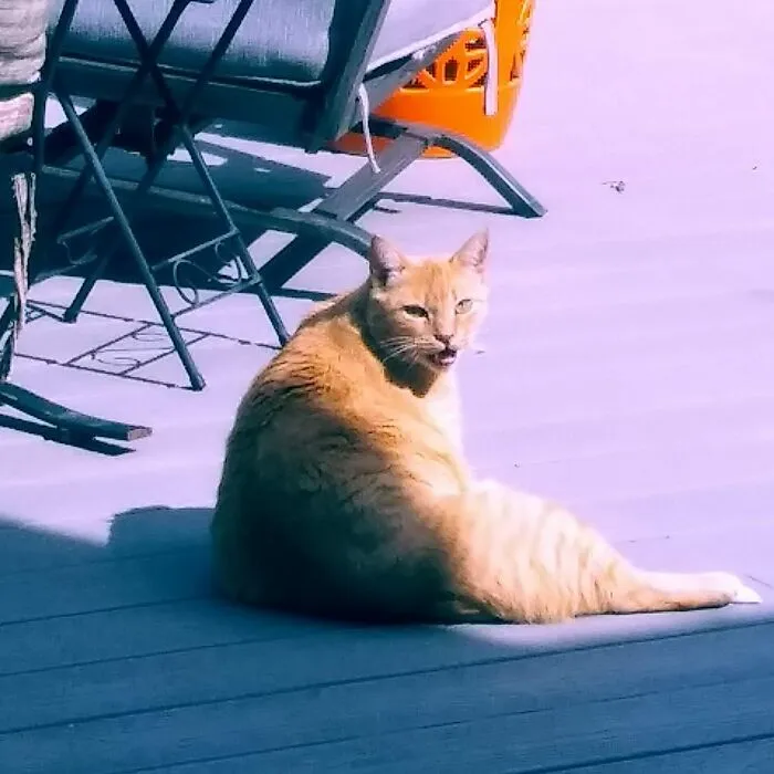 Sunshine Boy, Boo.