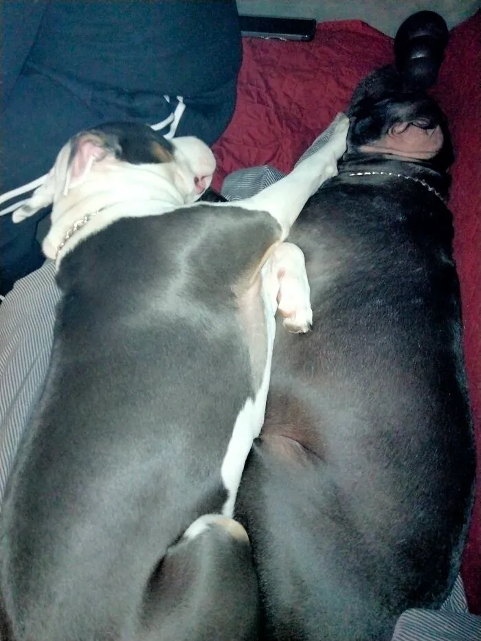 My Sweet Boops Doing A Spoon, Kinda Lol Okoye And Stoke