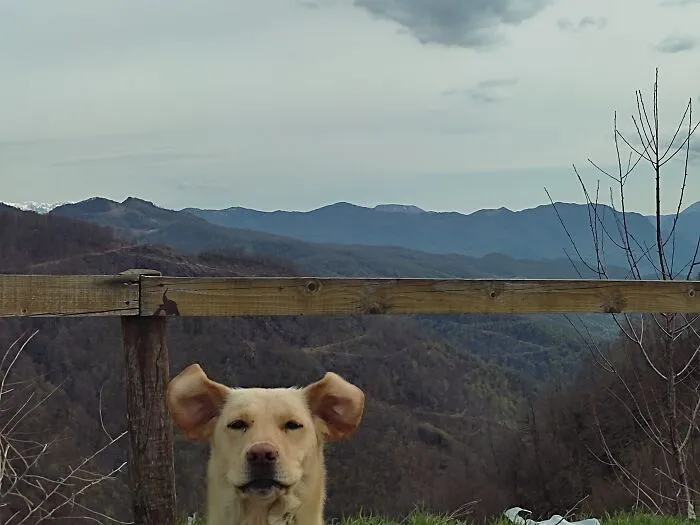 I Wanted To Photograph The View...