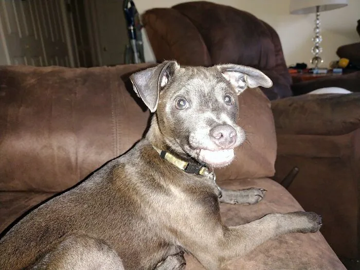 Daily Derp, Thunder