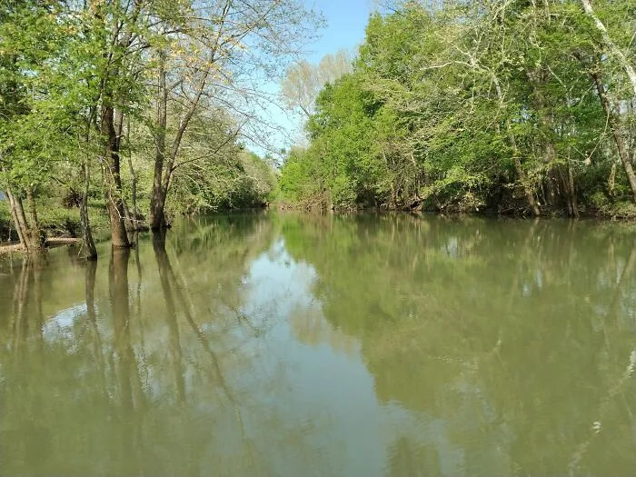 Spring In Missouri