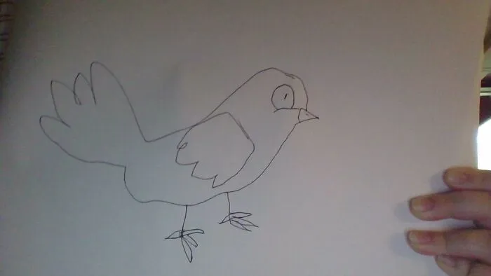 It's A...burd. But Seriously, I'm Bad At This :p