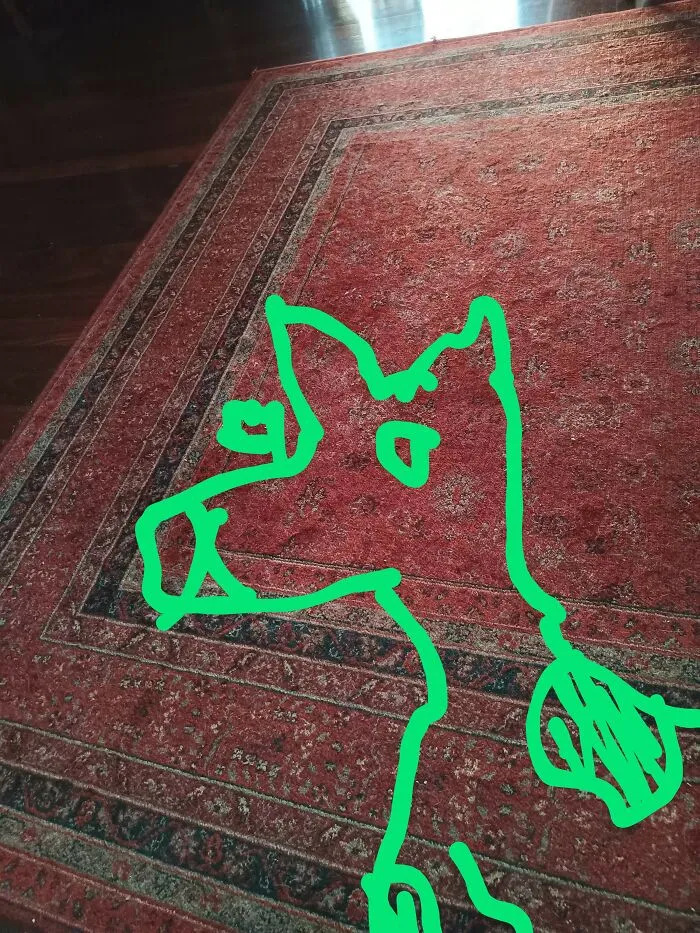 Dog. I Think.