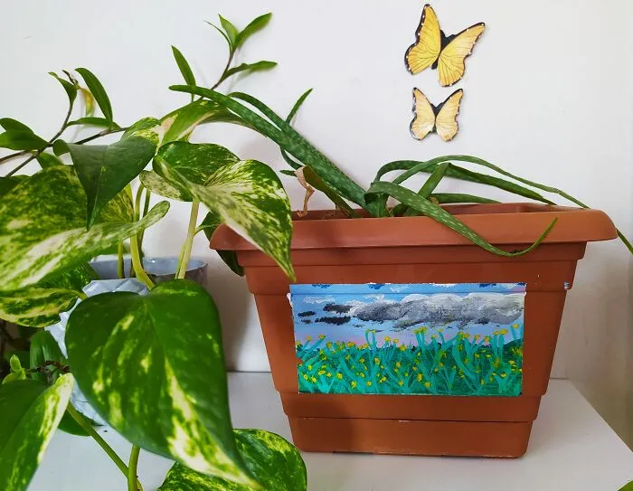 Aloevera