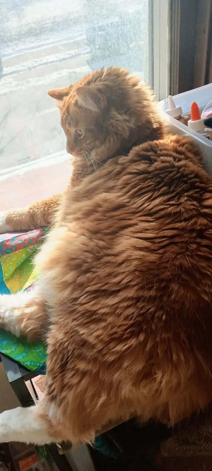 Soaking Up Some Rays