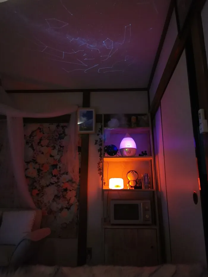 Star Projector