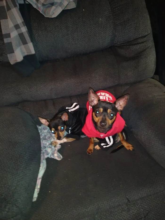 Meet Stitch And Sharia