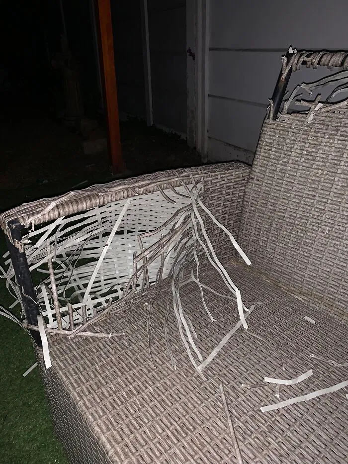 Patio Furniture Is Delicious Apparently (Culprit In Comments)
