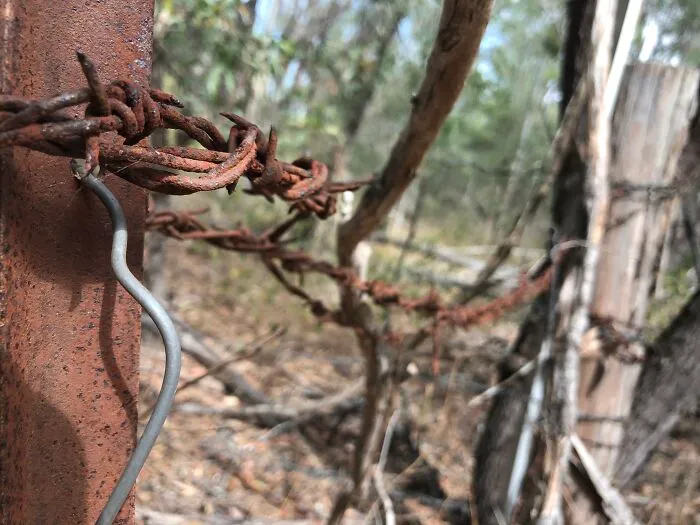 Mildly Good Photography By Me (8 Pics)