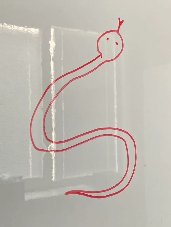 I Figured A Snake Would Be My Safest Option