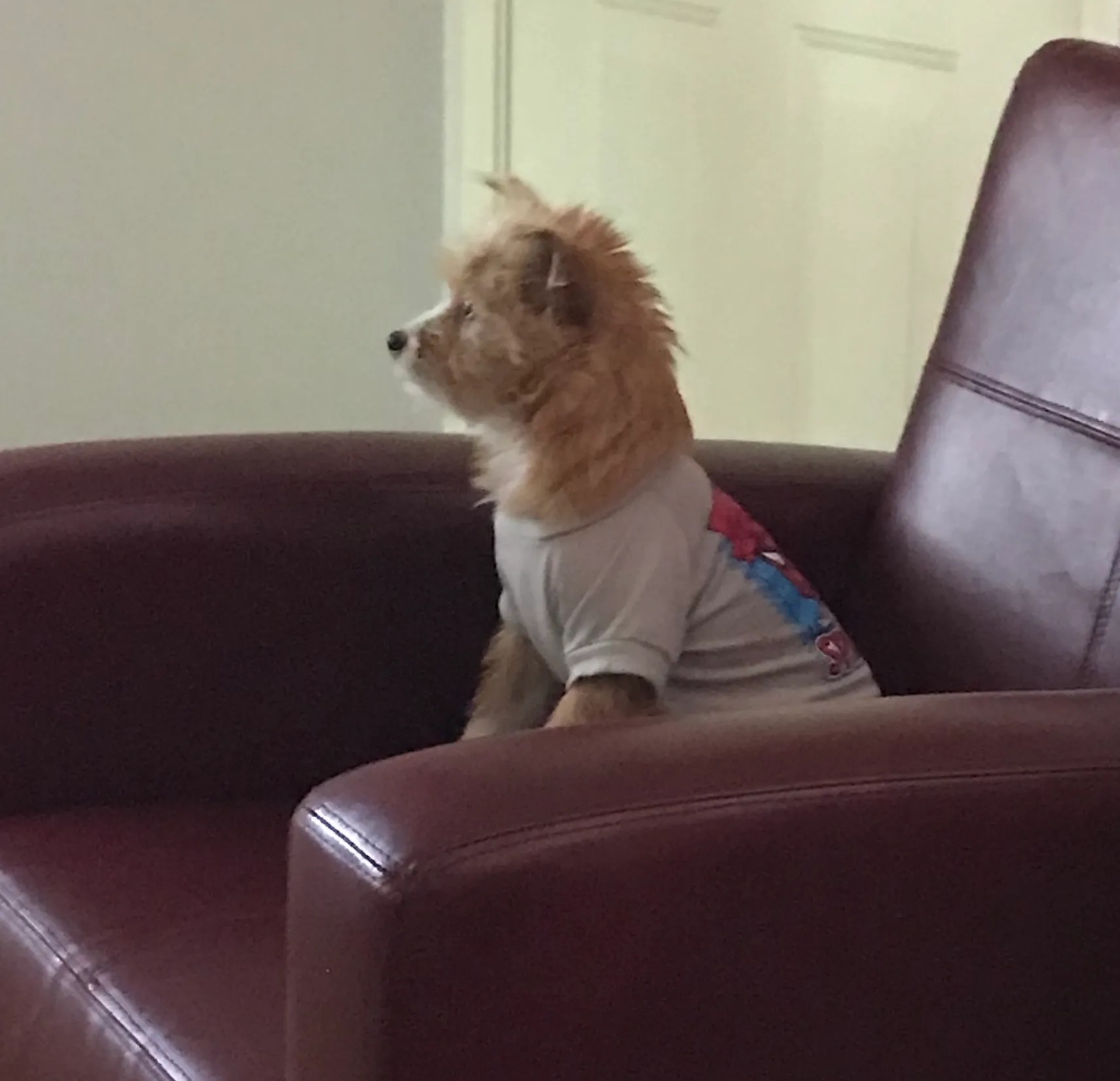 Freddie Watching Cartoons!