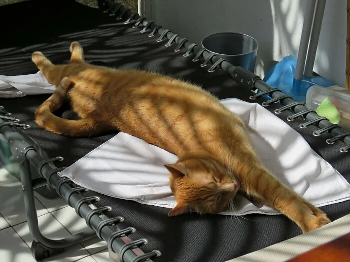 That Was My Sun Lounger 😄