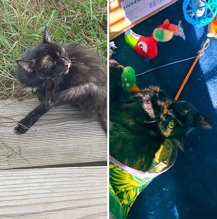 Taken Around 2 Months Apart