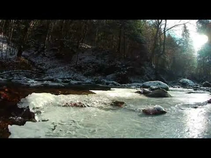 Relaxing Music For Stress Relief River Sounds [1 Hour]