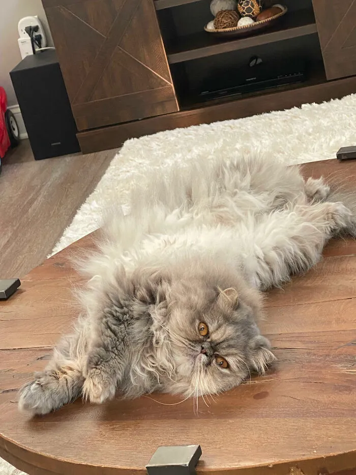 My Fluffy Girl Kiki :)