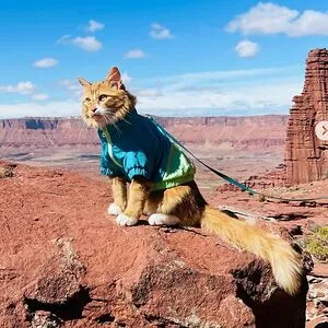 Liebchen Travels