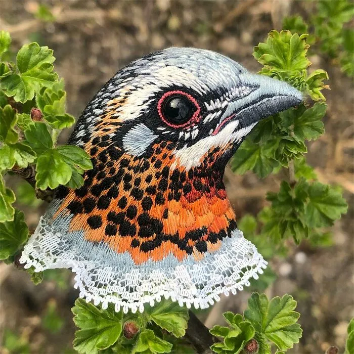 40 Embroidered Brooches By This Artist That You Might Confuse With Real Birds (New Pics)