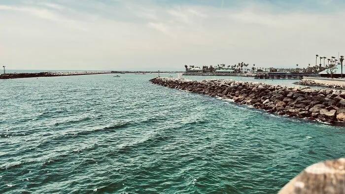 Here Are My First Published Images (40 Pics)