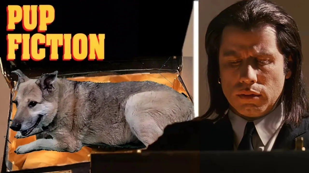 Pulp Fiction With A Dog