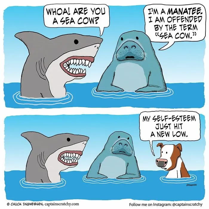 40 New Uplifting And Straightforward Comics By Captainscratchy