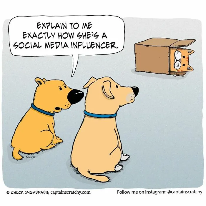 40 New Uplifting And Straightforward Comics By Captainscratchy