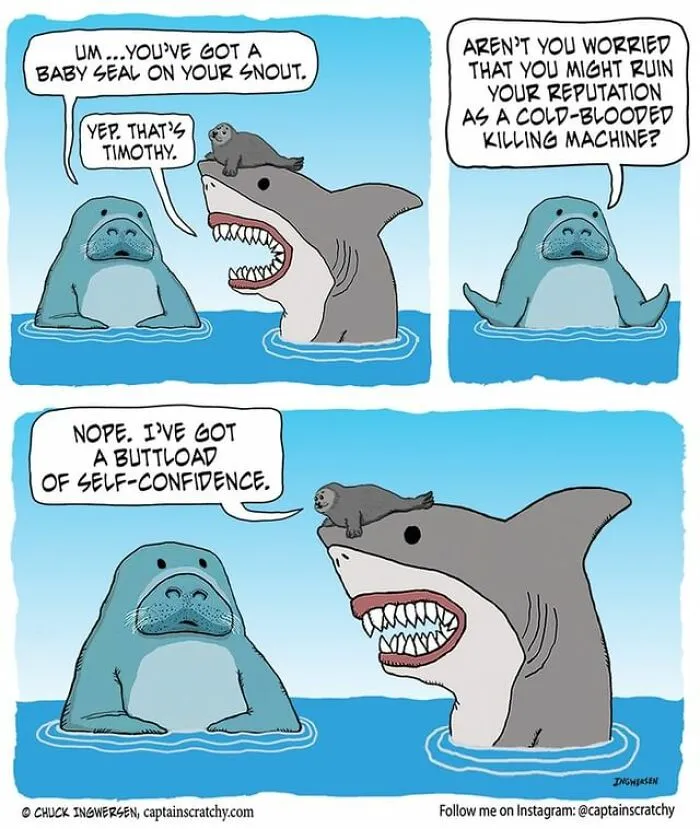 40 New Uplifting And Straightforward Comics By Captainscratchy