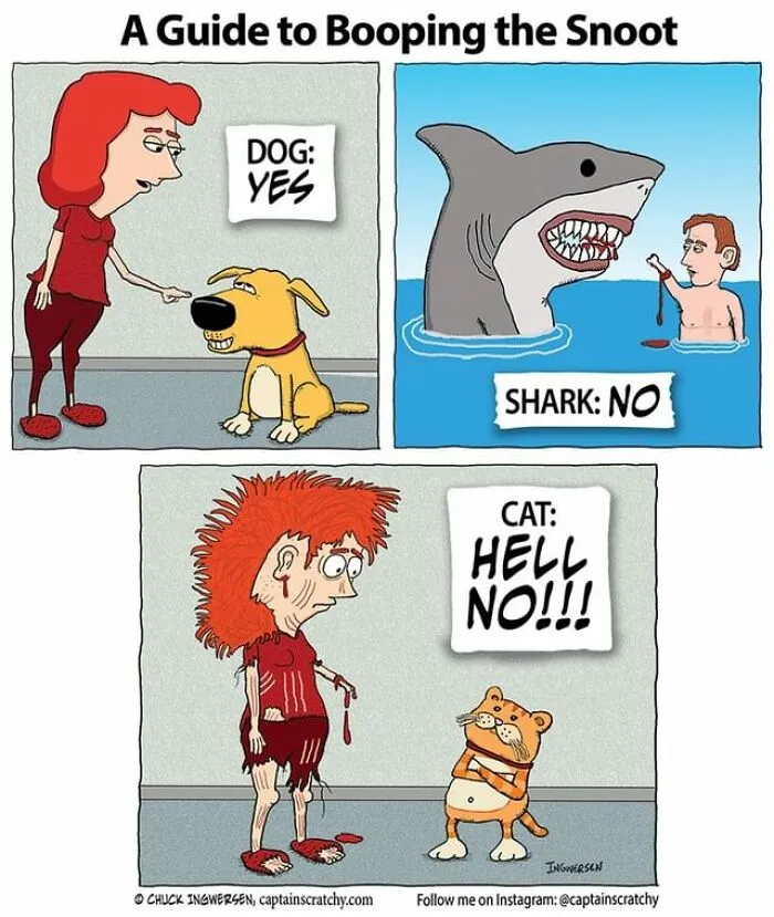 40 New Uplifting And Straightforward Comics By Captainscratchy
