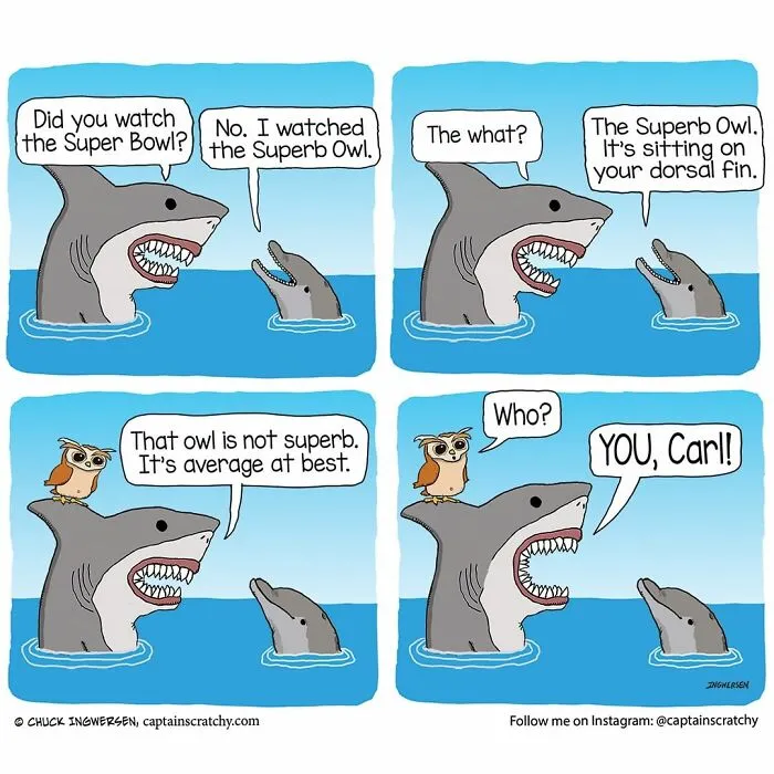 40 New Uplifting And Straightforward Comics By Captainscratchy