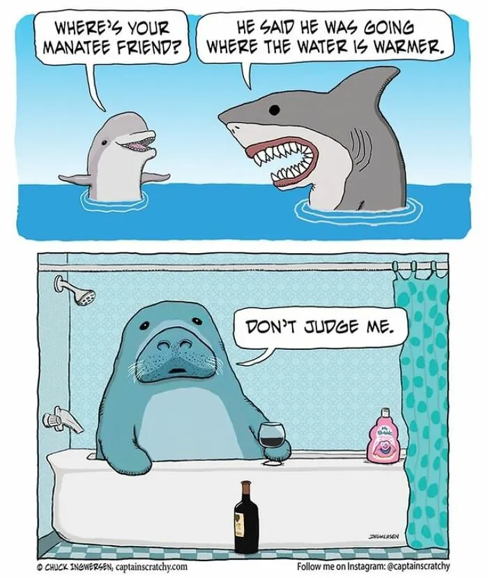 40 New Uplifting And Straightforward Comics By Captainscratchy