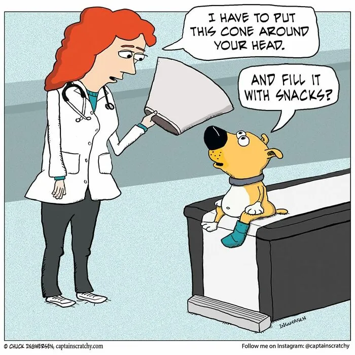 40 New Uplifting And Straightforward Comics By Captainscratchy