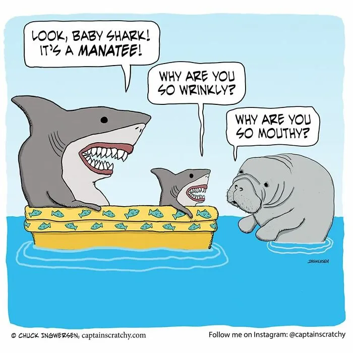 40 New Uplifting And Straightforward Comics By Captainscratchy